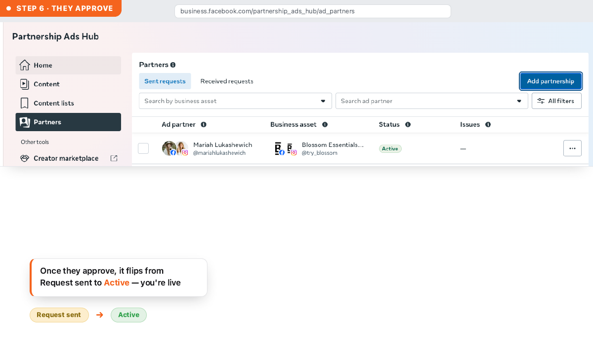 Step 6 — the creator approves, status flips to Active